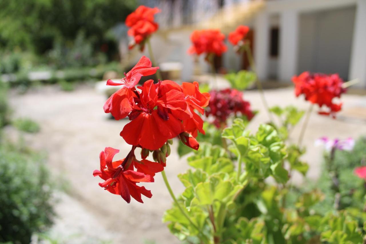 Sernang Homestay Hundar Zewnętrze zdjęcie